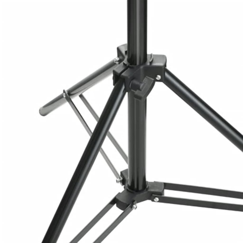 Achtergrondsysteem Telescopisch 155-300 Cm