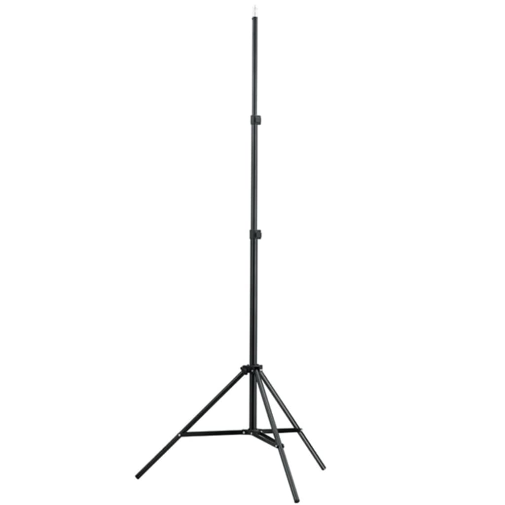 Achtergrondsysteem Telescopisch 155-300 Cm