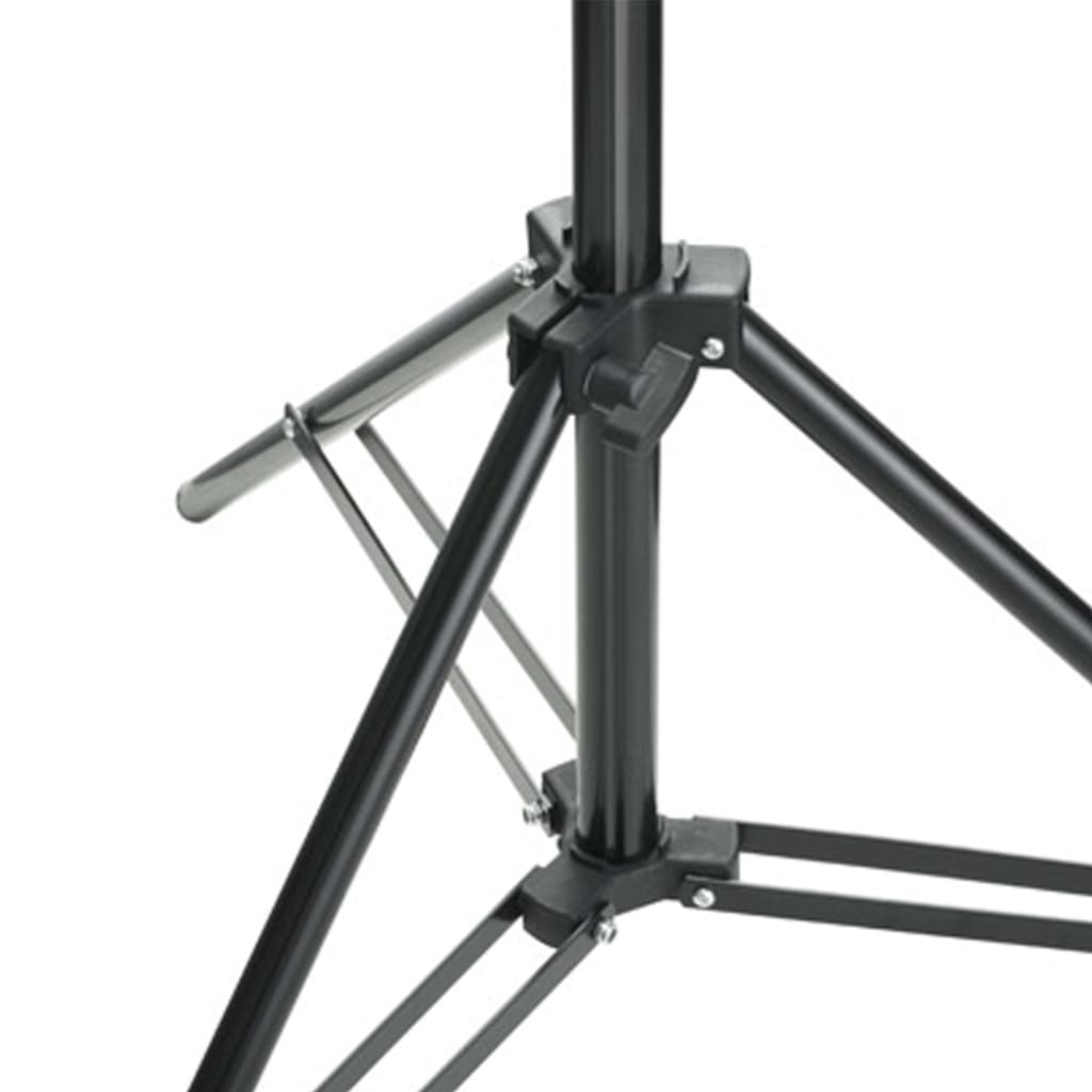 Fotostudioset Met Verlichtingsset En Achtergrond